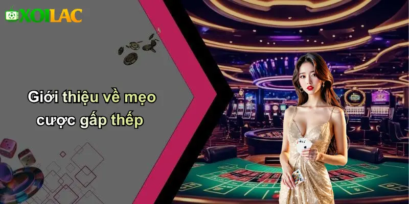 Giới thiệu về mẹo cược gấp thếp