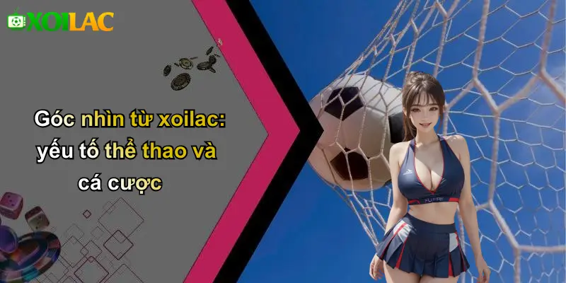 Góc nhìn từ xoilac: yếu tố thể thao và cá cược