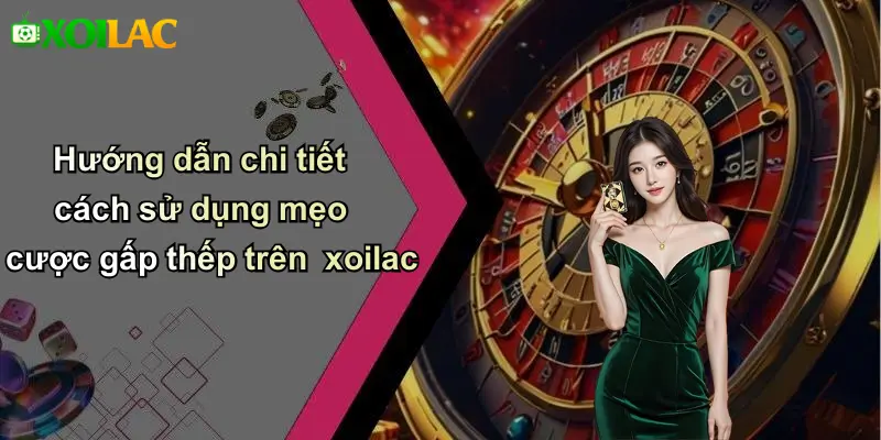 Hướng dẫn chi tiết cách sử dụng mẹo cược gấp thếp trên xoilac