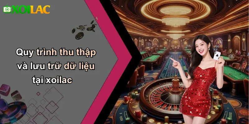 Quy trình thu thập và lưu trữ dữ liệu tại xoilac