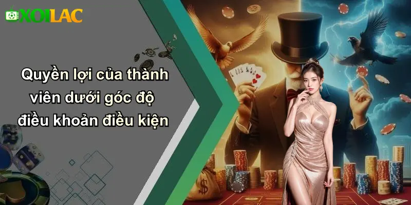 Quyền lợi của thành viên dưới góc độ điều khoản điều kiện