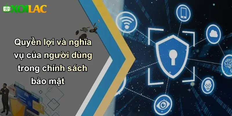 Quyền lợi và nghĩa vụ của người dùng trong chính sách bảo mật