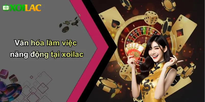 Văn hóa làm việc năng động tại xoilac