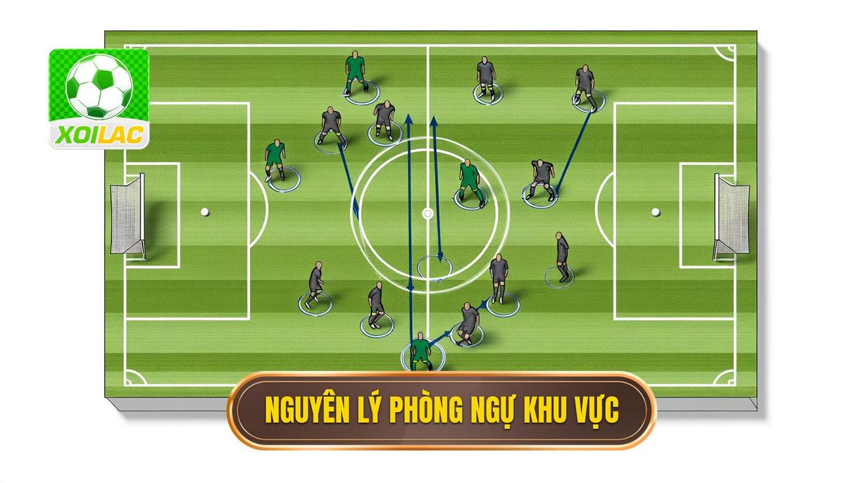 Nguyên lý hoạt động của phòng ngự khu vực