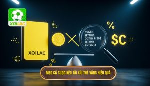 Mẹo cá cược kèo tài xỉu thẻ vàng hiệu quả