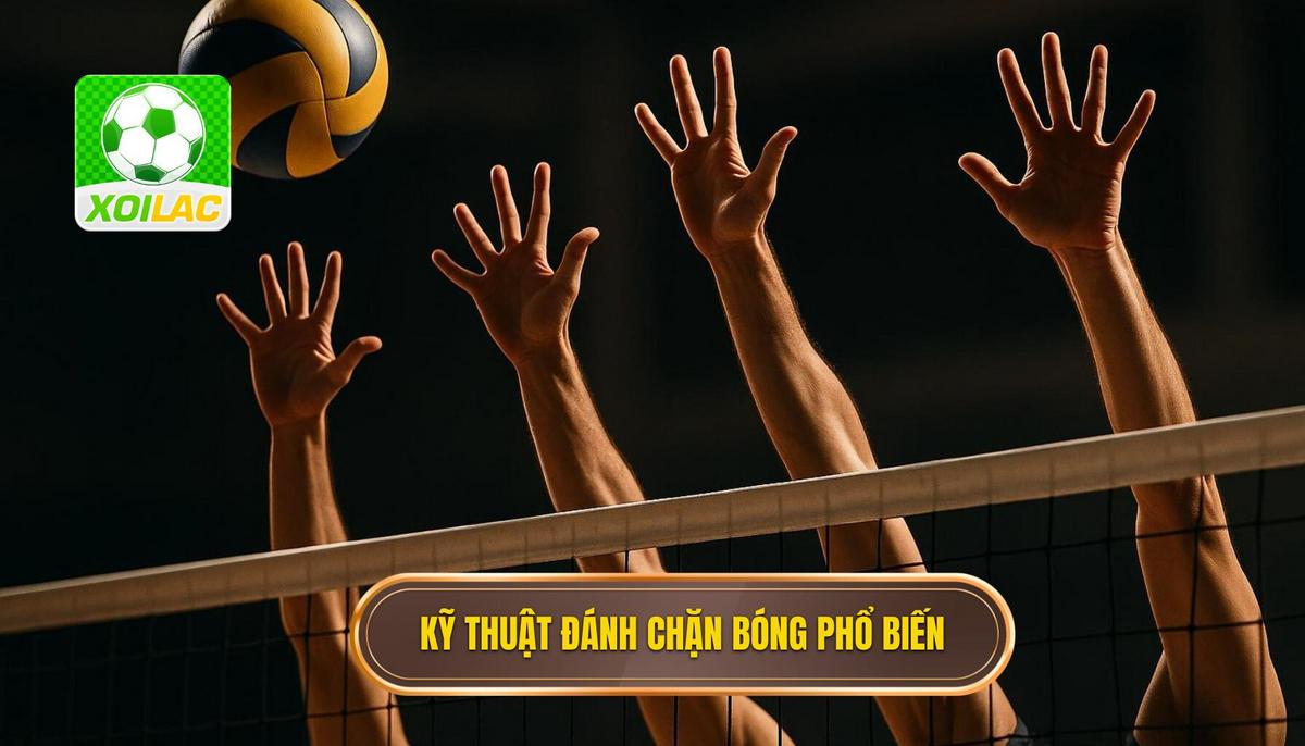 Các Loại Kỹ Thuật Đánh Chặn Bóng Phổ Biến