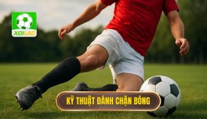 Kỹ thuật đánh chặn bóng