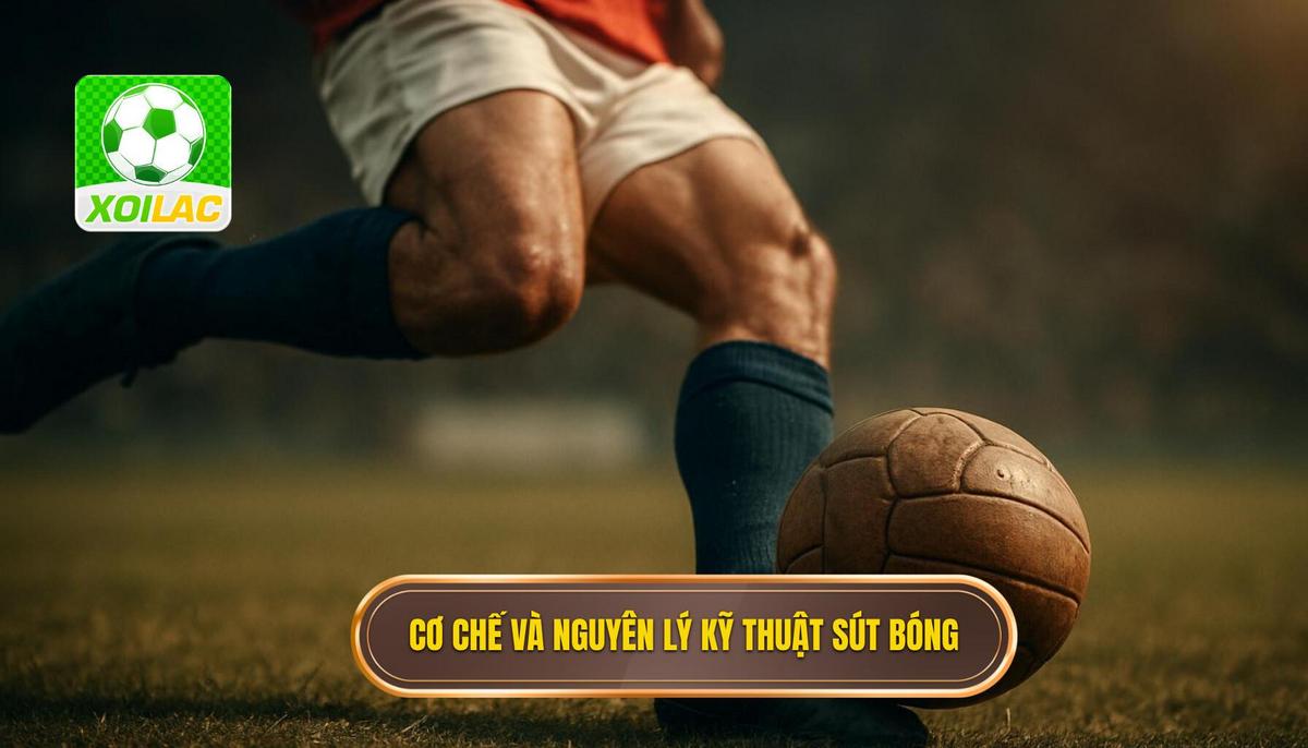 Cơ chế hoạt động và nguyên lý vật lý của Kỹ thuật sút bóng bằng đầu ngón chân