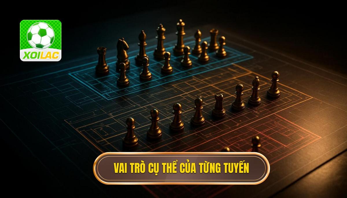 Yêu Cầu Về Vai Trò Cụ Thể Của Từng Tuyến