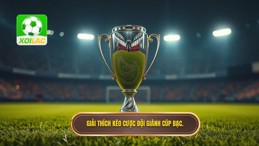 Giải thích kèo cược đội giành cúp bạc