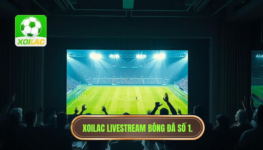 Tại sao Xoilac livestream bóng đá là lựa chọn số 1 của người hâm mộ? Tại sao Xoilac livestream bóng đá là lựa chọn số 1 của người hâm mộ?